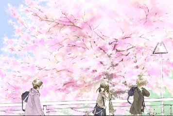 深入了解 蘑菇Tv网页版直接进入